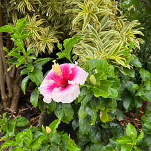 Meet your Posher, Eva maria